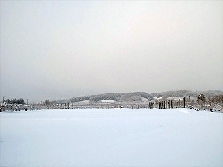 弘前市の建設会社クリエイトテクノ株式会社